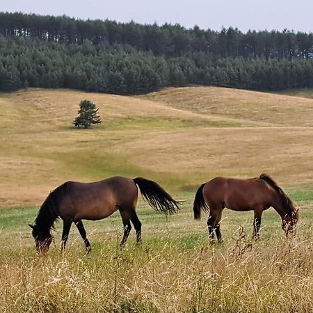 Apartman Nimfa Zlatibor Esterno foto