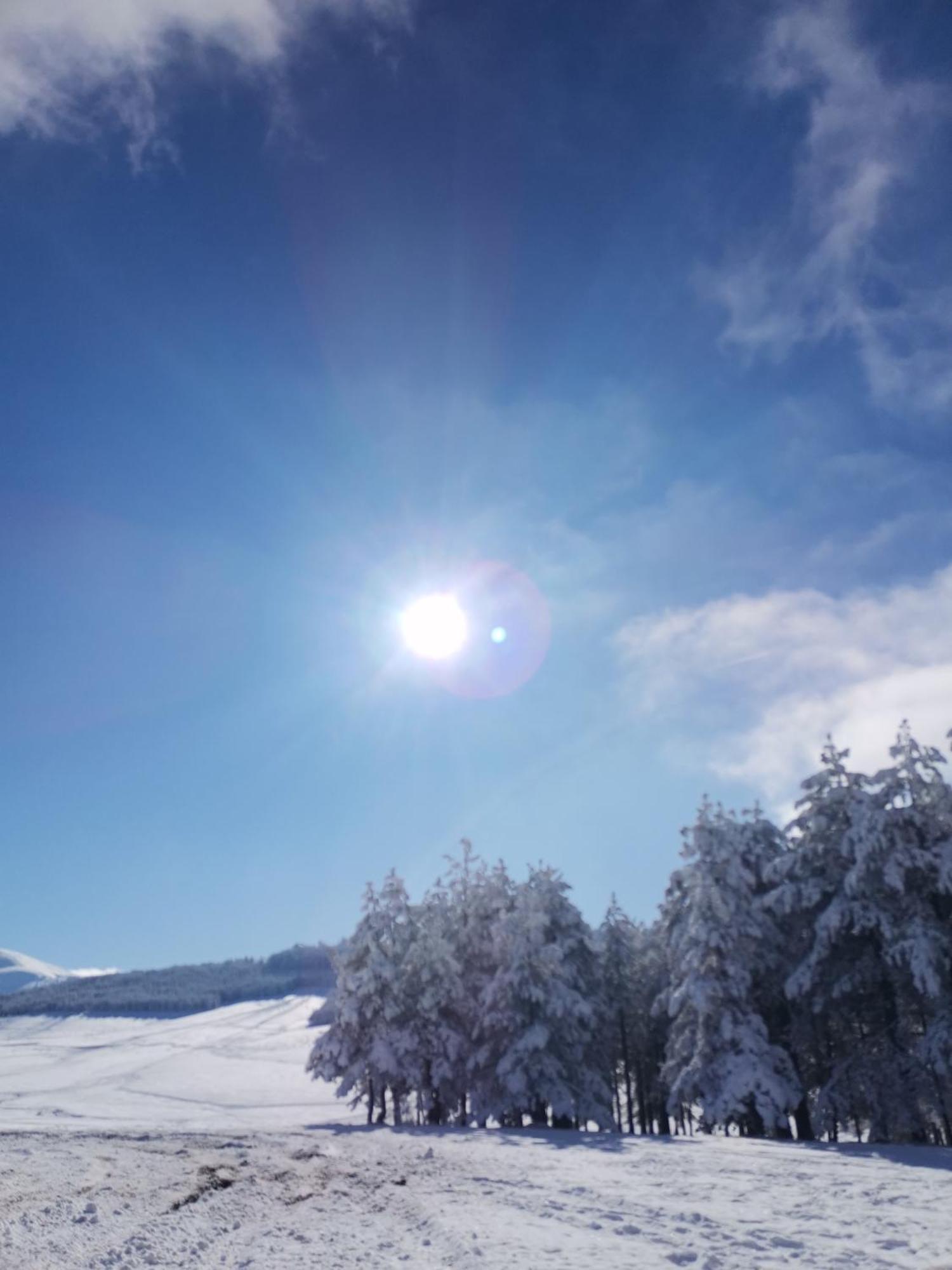Apartman Nimfa Zlatibor Esterno foto