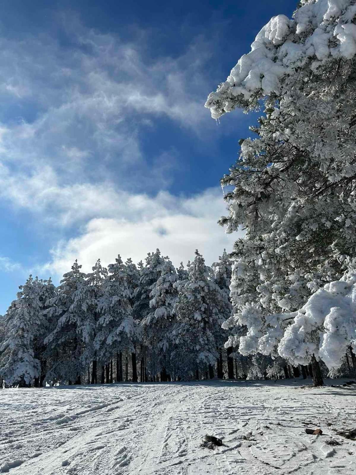 Apartman Nimfa Zlatibor Esterno foto